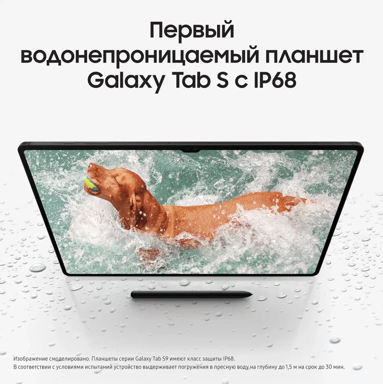 Планшет Samsung Galaxy Tab S9 | LTE | 12/256 ГБ Серый 7