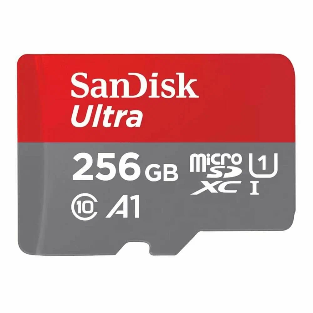 Карта памяти SanDisk MicroSD 256Gb
