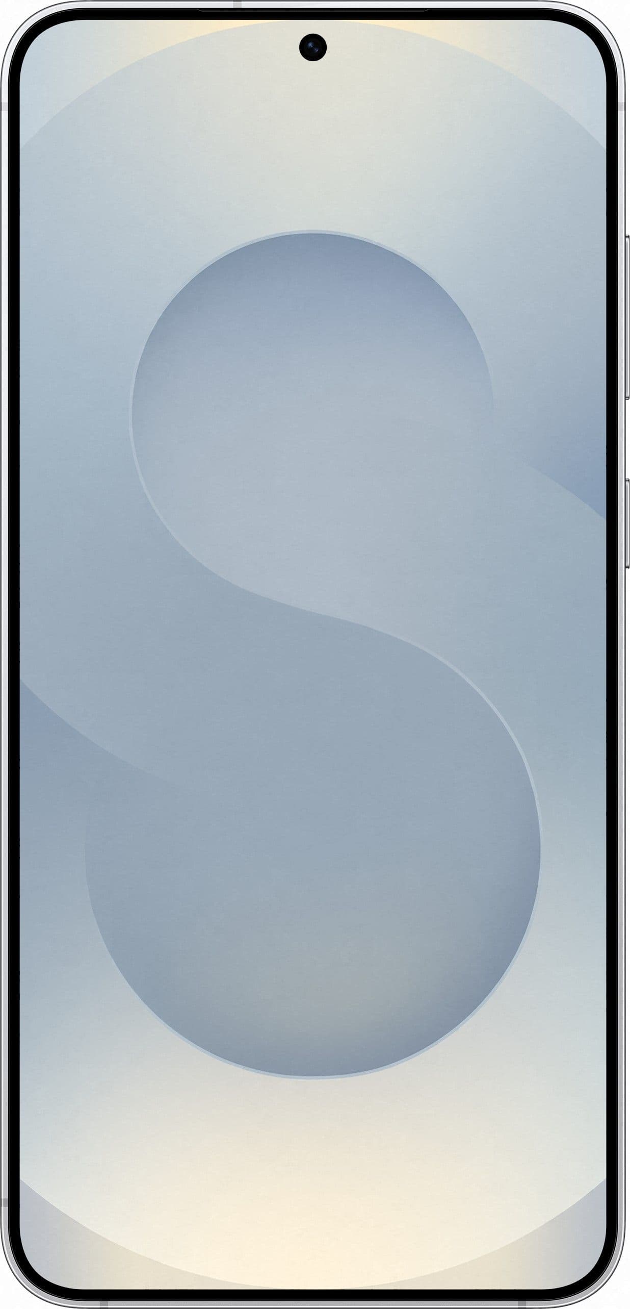 Смартфон Samsung Galaxy S25 Plus | 12-256 ГБ, Серый 2