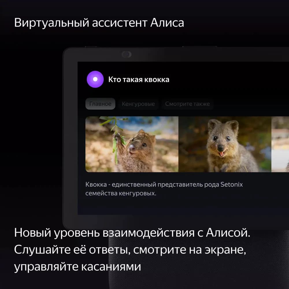 Умная колонка Яндекс Станция Дуо Макс c YaGPT, Черный 4