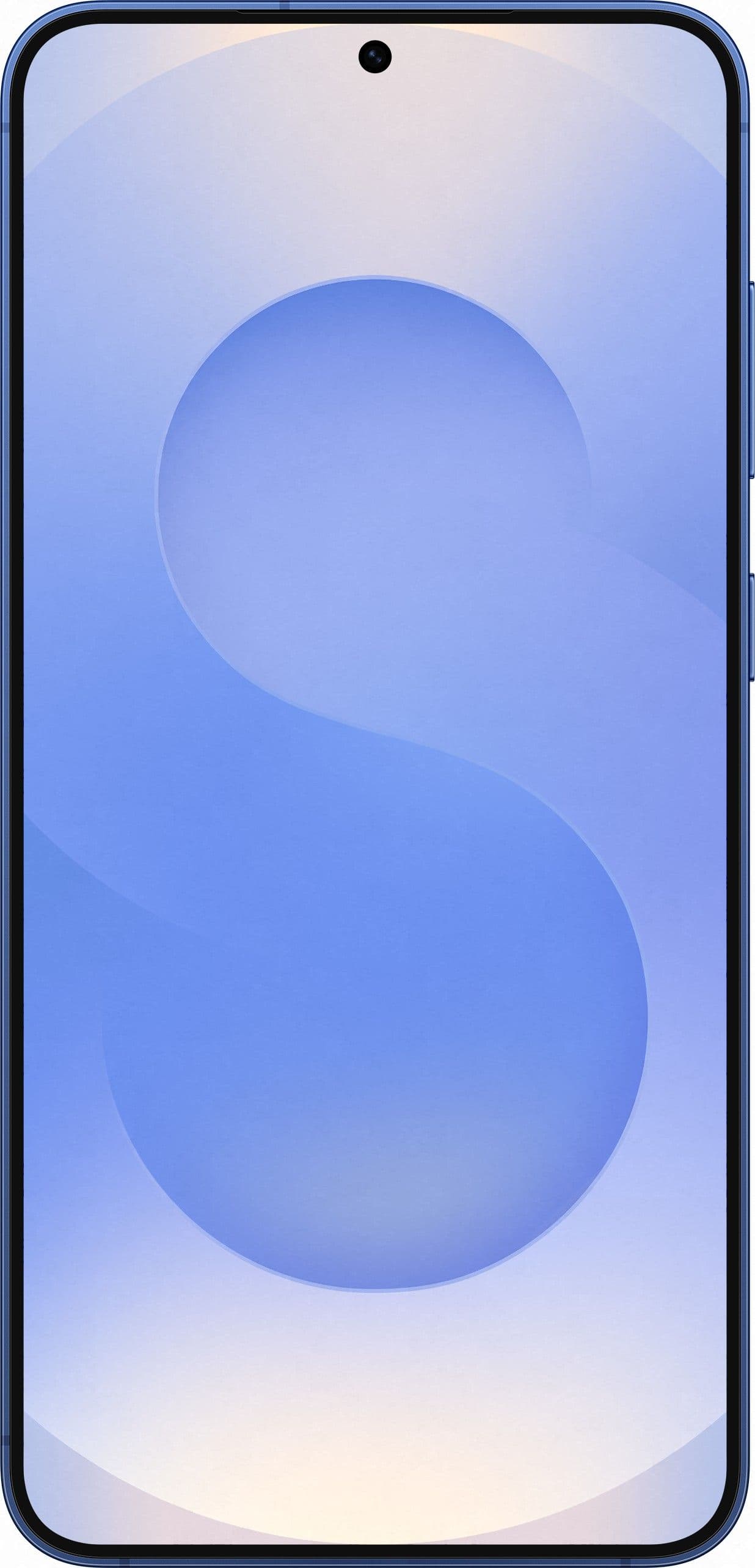 Смартфон Samsung Galaxy S25 Plus | 12/512 ГБ, Синий 2
