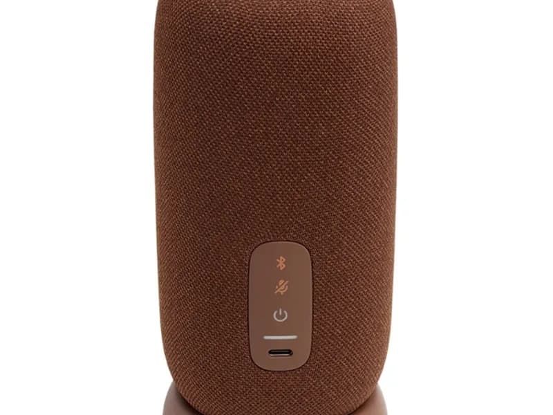 Беспроводная акустика JBL Link Portable коричневый