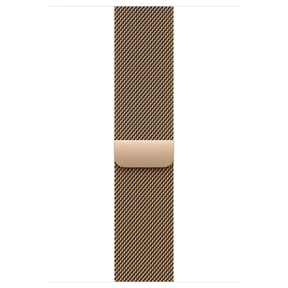Умные часы Apple Watch Series 11 42 мм Titanium Milanese Loop Золотой 3