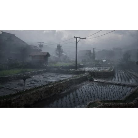 Игра Silent Hill f. Day One Edition (PS5, русские субтитры) 4