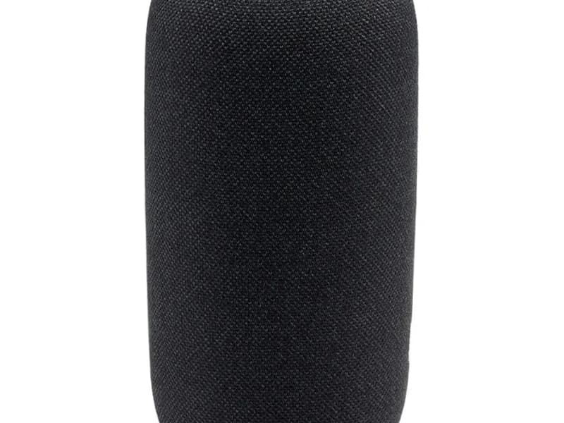 Беспроводная акустика JBL Link Portable Черный 4