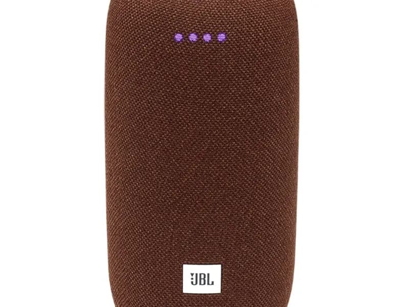 Беспроводная акустика JBL Link Portable коричневый 3