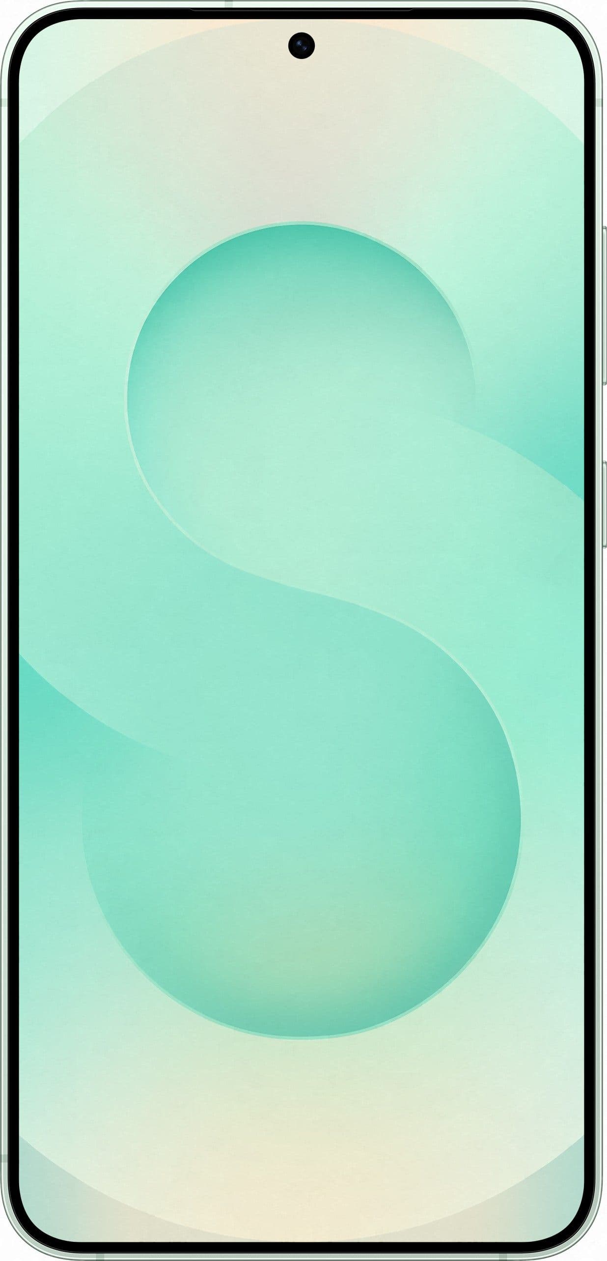 Смартфон Samsung Galaxy S25 Plus | 12/512 ГБ, Мятный 2