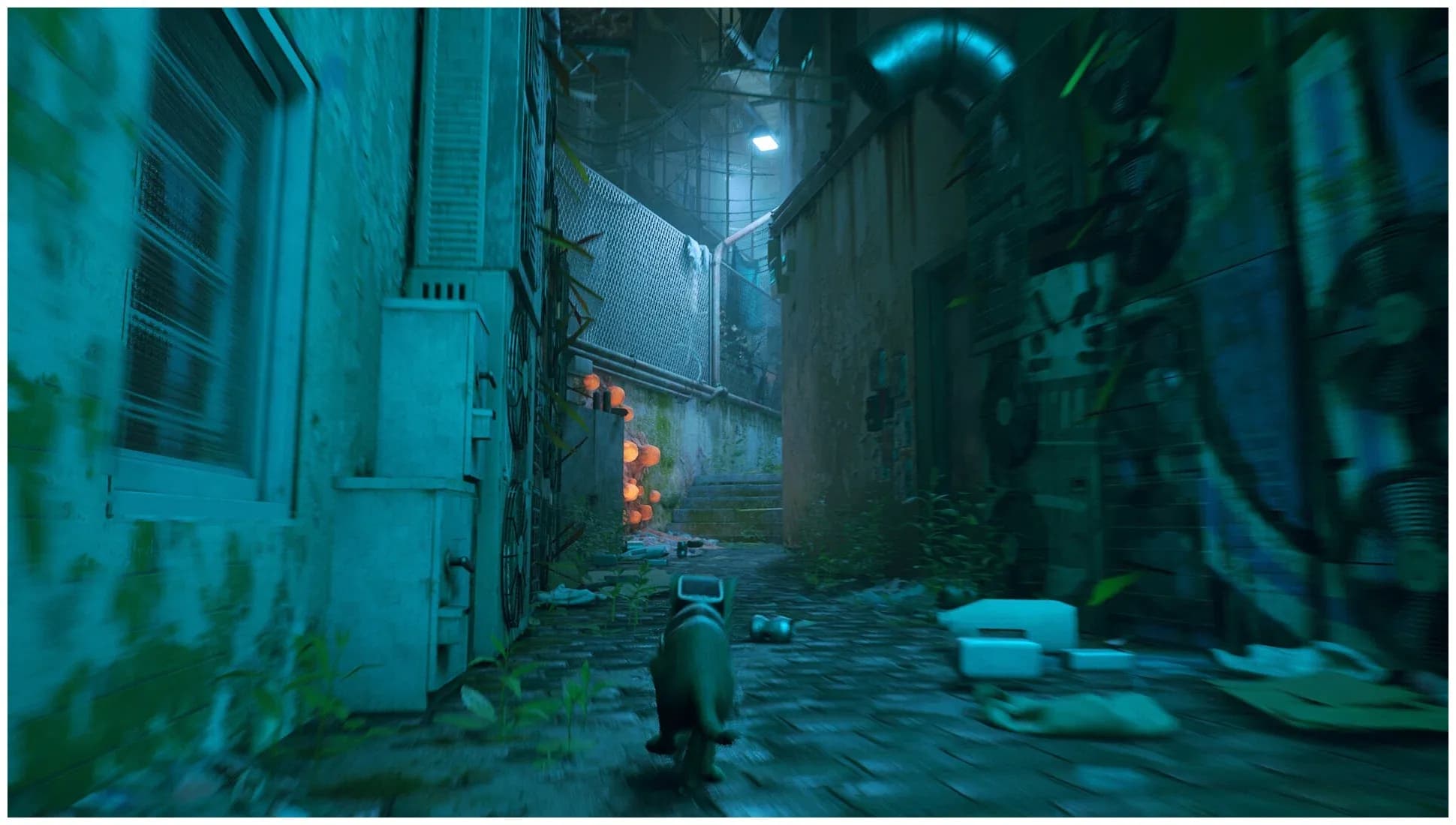 Игра Stray (PS5, русские субтитры) 5