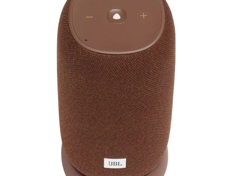 Беспроводная акустика JBL Link Portable коричневый 4