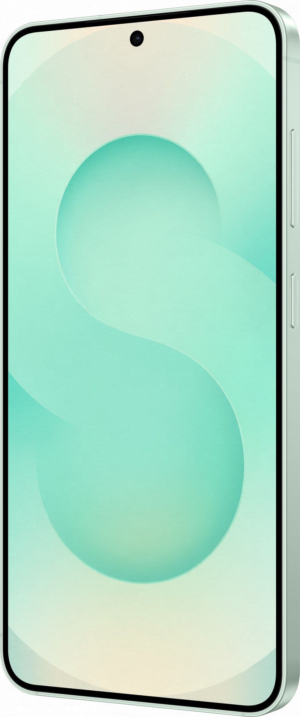 Смартфон Samsung Galaxy S25 | 12/512 ГБ, Мятный 8