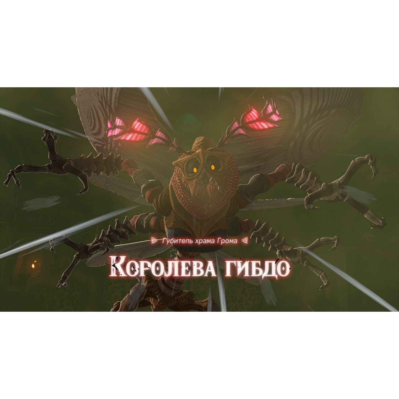 Игра The Legend of Zelda: Tears of the Kingdom (Nintendo Switch 2, полностью на русском) 5